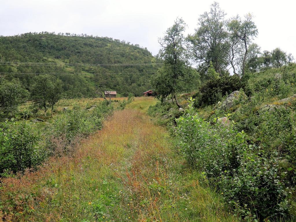 Farm stay Husky Fjellgard Haukeli