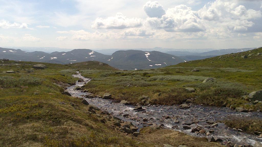 Husky Fjellgard * Haukeli